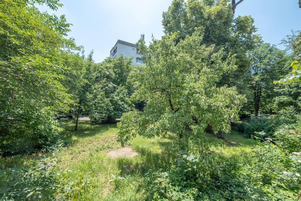 Top Location, Brand New 3 Bdrm Apt & Free Parking Sofia Eksteriør billede